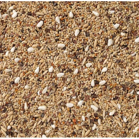 68 - Grandes Perruches Sans Tournesols 20kg - Deli Nature – Image 2