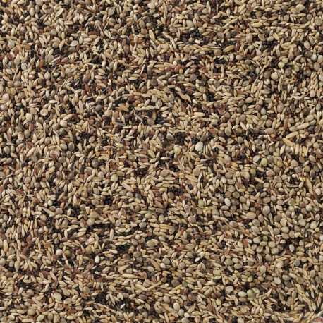 Deli Nature Oiseaux Indigènes 20kg (91) – Image 2
