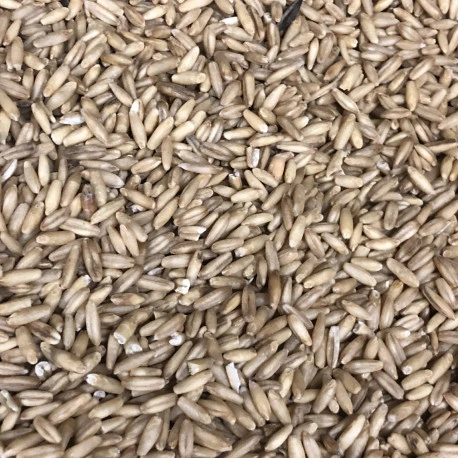 Avoine Pelée 25kg - Beyers – Image 2