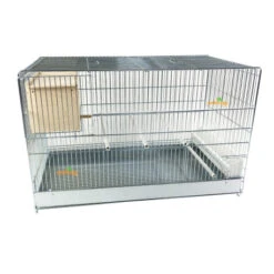 Cage Domus-Molinari 71cm Avec Nid Incorporé
