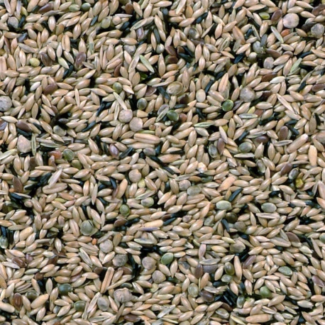 Canaris De Posture Duvo 20Kg – Image 2