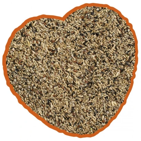 Canaris De Posture Duvo 20Kg – Image 4