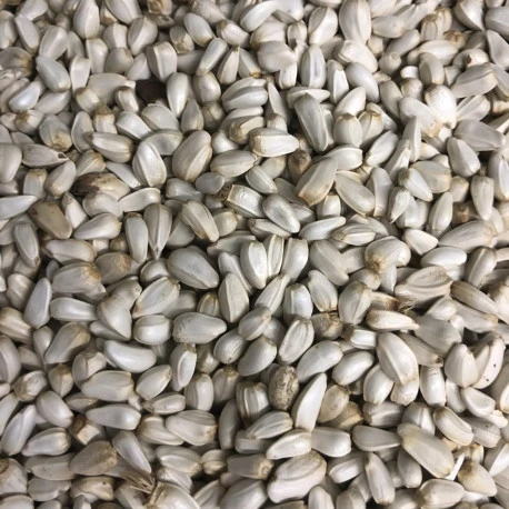 Cardi Extra 15 Kg - Duvo – Image 2