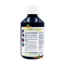 Dysbac Liquide 250ml - Santé Du Jabot, Du Proventricule Et De L'intestin