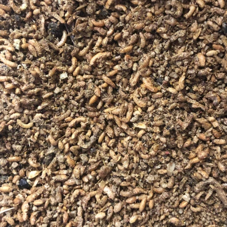 Duvo Pâtée Insectivore Avec 60% D'insectes 6kg – Image 2